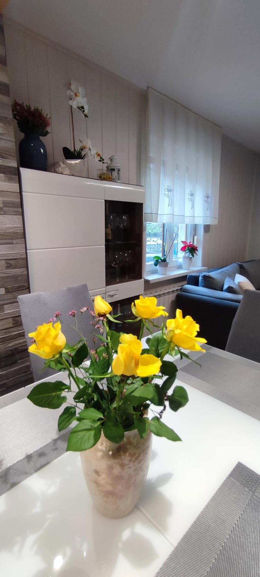 Srpenica Apartma Soca Oasis מראה חיצוני תמונה